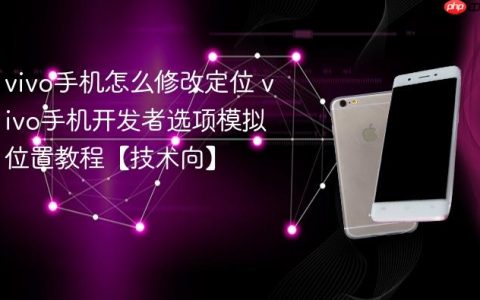 vivo手机怎么修改定位 vivo手机开发者选项模拟位置教程【技术向】