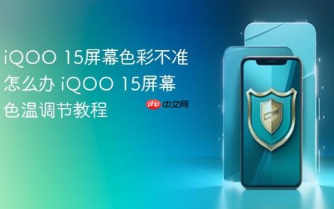 iQOO 15屏幕色彩不准怎么办 iQOO 15屏幕色温调节教程