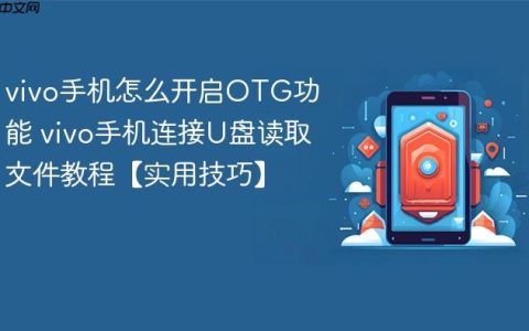 vivo手机怎么开启OTG功能 vivo手机连接U盘读取文件教程【实用技巧】
