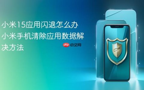 小米15应用闪退怎么办 小米手机清除应用数据解决方法
