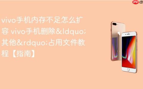 vivo手机内存不足怎么扩容 vivo手机删除&ldquo;其他&rdquo;占用文件教程【指南】