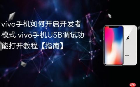 vivo手机如何开启开发者模式 vivo手机USB调试功能打开教程【指南】
