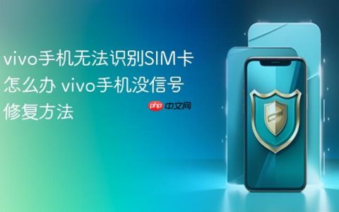 vivo手机无法识别SIM卡怎么办 vivo手机没信号修复方法