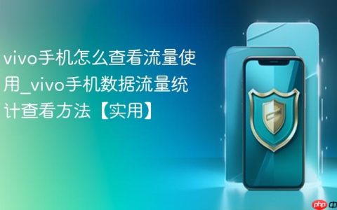 vivo手机怎么查看流量使用?vivo手机数据流量统计查看方法【实用】