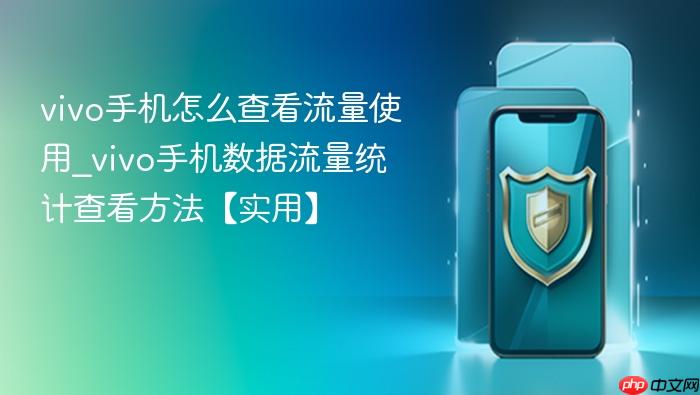 vivo手机怎么查看流量使用_vivo手机数据流量统计查看方法【实用】