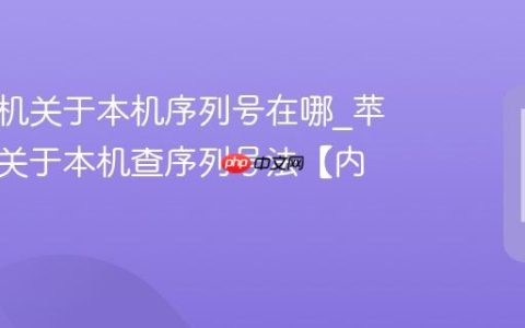 苹果手机关于本机序列号在哪?苹果手机关于本机查序列号法【内置】