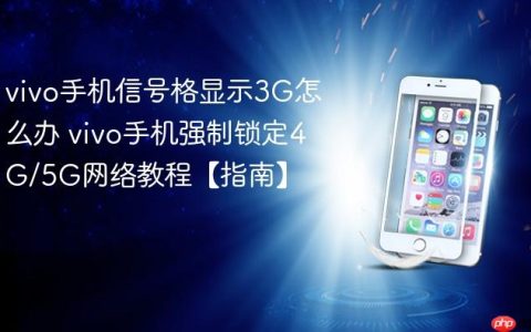 vivo手机信号格显示3G怎么办 vivo手机强制锁定4G/5G网络教程【指南】