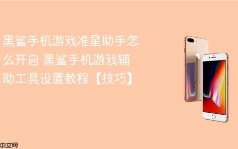 黑鲨手机游戏准星助手怎么开启 黑鲨手机游戏辅助工具设置教程【技巧】