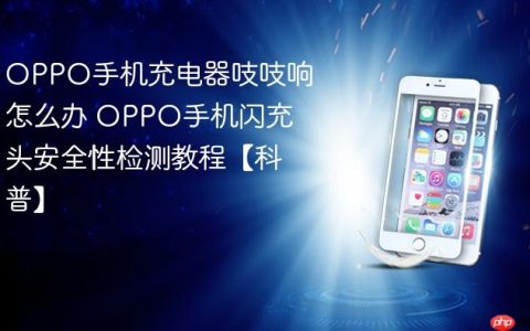 OPPO手机充电器吱吱响怎么办 OPPO手机闪充头安全性检测教程【科普】