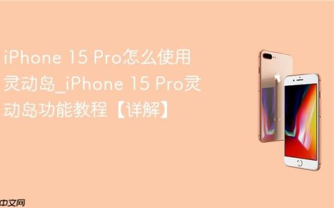 iPhone 15 Pro怎么使用灵动岛?iPhone 15 Pro灵动岛功能教程【详解】