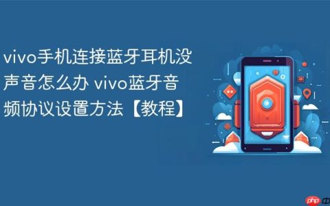 vivo手机连接蓝牙耳机没声音怎么办 vivo蓝牙音频协议设置方法【教程】