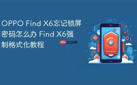 OPPO Find X6忘记锁屏密码怎么办 Find X6强制格式化教程