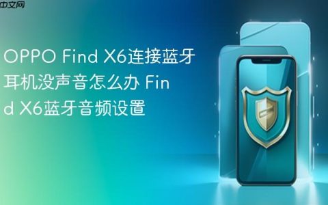 OPPO Find X6连接蓝牙耳机没声音怎么办 Find X6蓝牙音频设置