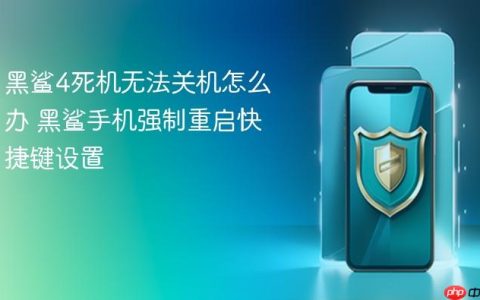 黑鲨4死机无法关机怎么办 黑鲨手机强制重启快捷键设置