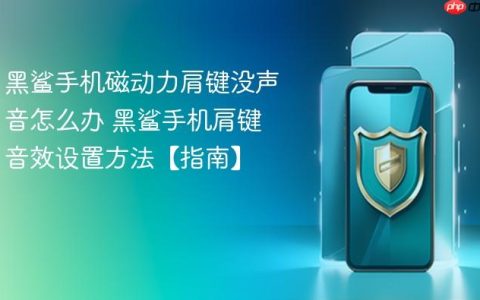黑鲨手机磁动力肩键没声音怎么办 黑鲨手机肩键音效设置方法【指南】