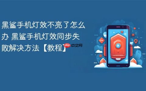 黑鲨手机灯效不亮了怎么办 黑鲨手机灯效同步失败解决方法【教程】