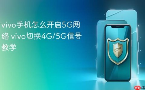 vivo手机怎么开启5G网络 vivo切换4G/5G信号教学