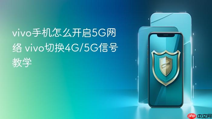 vivo手机怎么开启5g网络 vivo切换4g/5g信号教学