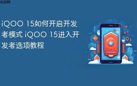 iQOO 15如何开启开发者模式 iQOO 15进入开发者选项教程