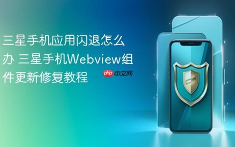 三星手机应用闪退怎么办 三星手机Webview组件更新修复教程