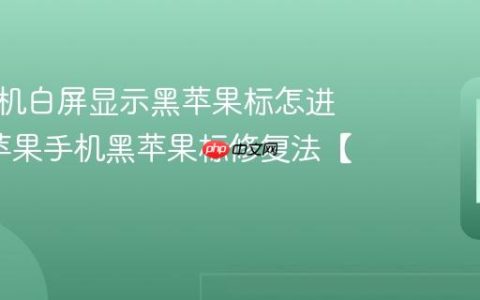 苹果手机白屏显示黑苹果标怎进系统?苹果手机黑苹果标修复法【引导】