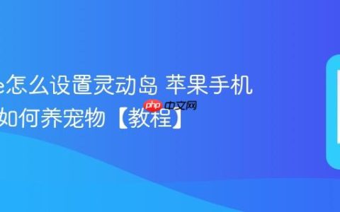 iphone怎么设置灵动岛 苹果手机灵动岛如何养宠物【教程】