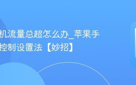 苹果手机流量总超怎么办?苹果手机流量控制设置法【妙招】