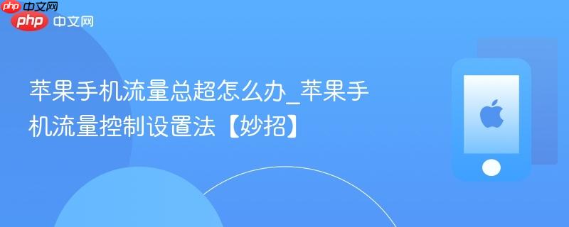 苹果手机流量总超怎么办_苹果手机流量控制设置法【妙招】