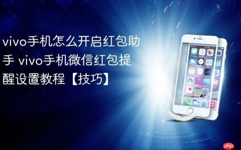 vivo手机怎么开启红包助手 vivo手机微信红包提醒设置教程【技巧】