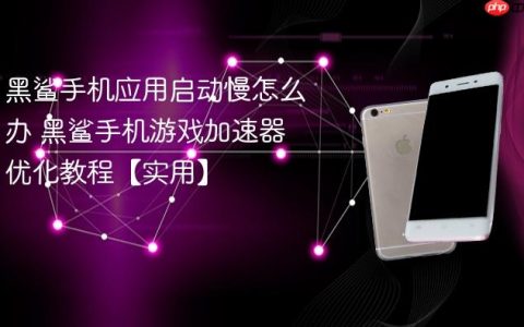 黑鲨手机应用启动慢怎么办 黑鲨手机游戏加速器优化教程【实用】