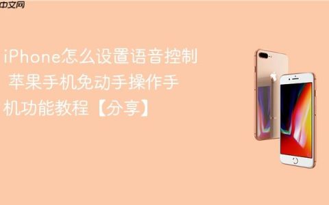 iPhone怎么设置语音控制 苹果手机免动手操作手机功能教程【分享】