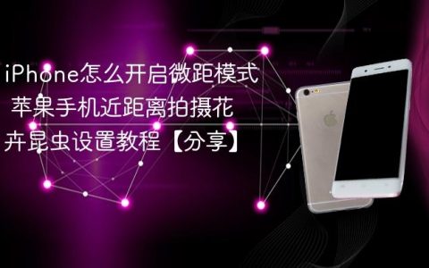iPhone怎么开启微距模式 苹果手机近距离拍摄花卉昆虫设置教程【分享】