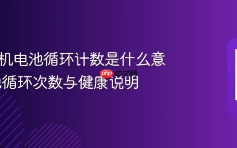 苹果手机电池循环计数是什么意思 电池循环次数与健康说明