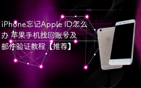 iPhone忘记Apple ID怎么办 苹果手机找回账号及邮件验证教程【推荐】