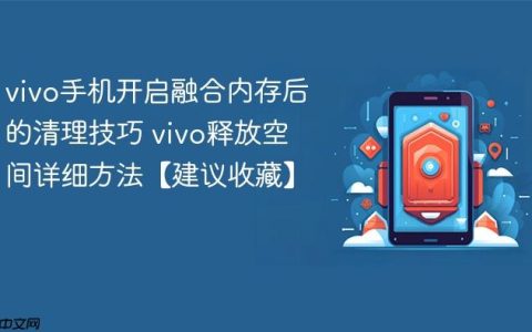 vivo手机开启融合内存后的清理技巧 vivo释放空间详细方法【建议收藏】