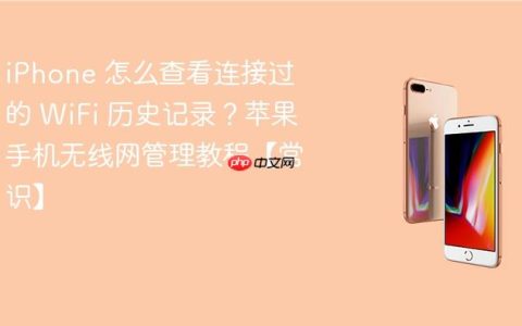 iPhone 怎么查看连接过的 WiFi 历史记录？苹果手机无线网管理教程【常识】