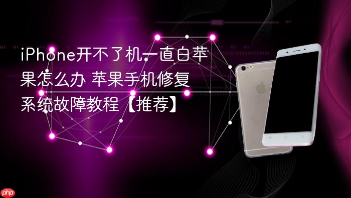 iphone开不了机一直白苹果怎么办 苹果手机修复系统故障教程【推荐】