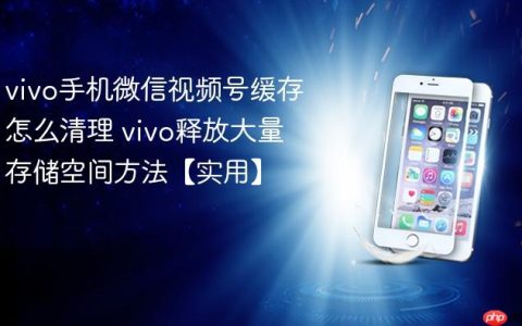 vivo手机微信视频号缓存怎么清理 vivo释放大量存储空间方法【实用】