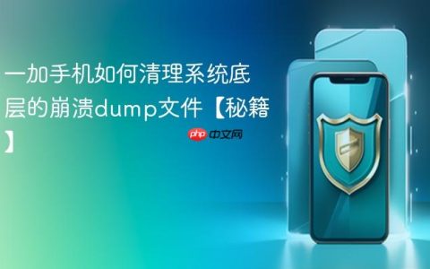一加手机如何清理系统底层的崩溃dump文件【秘籍】