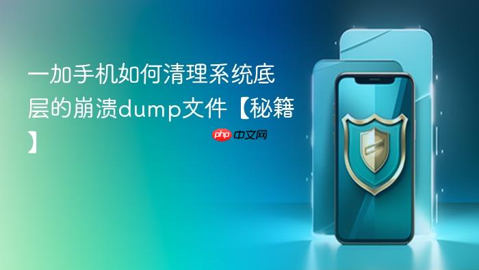 一加手机如何清理系统底层的崩溃dump文件【秘籍】