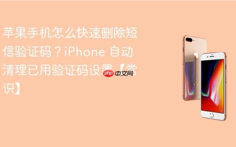 苹果手机怎么快速删除短信验证码？iPhone 自动清理已用验证码设置【常识】