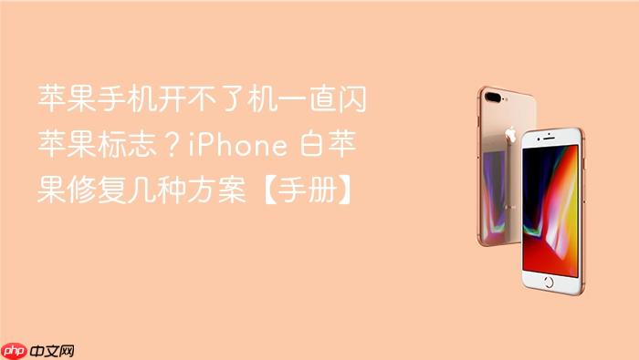 苹果手机开不了机一直闪苹果标志？iphone 白苹果修复几种方案【手册】