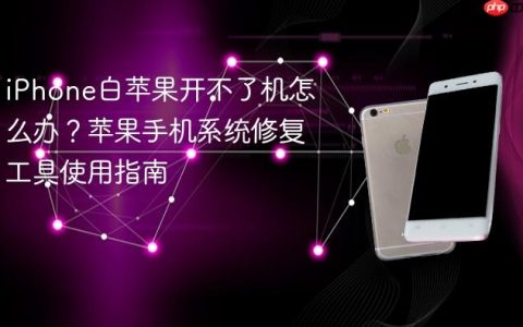 iPhone白苹果开不了机怎么办？苹果手机系统修复工具使用指南