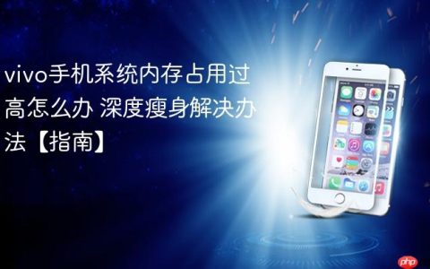 vivo手机系统内存占用过高怎么办 深度瘦身解决办法【指南】