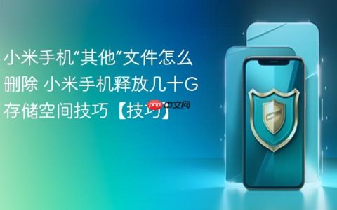 小米手机“其他”文件怎么删除 小米手机释放几十G存储空间技巧【技巧】