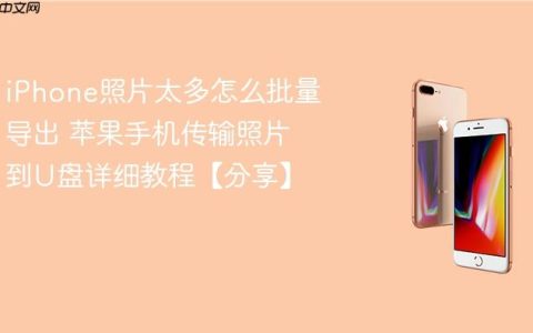 iPhone照片太多怎么批量导出 苹果手机传输照片到U盘详细教程【分享】