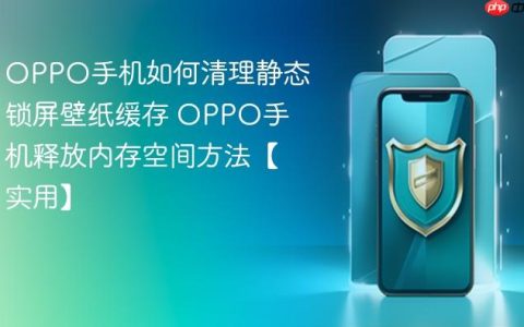 OPPO手机如何清理静态锁屏壁纸缓存 OPPO手机释放内存空间方法【实用】