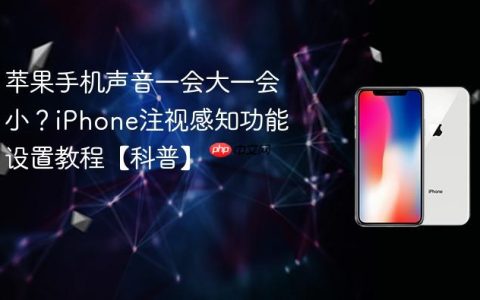 苹果手机声音一会大一会小？iPhone注视感知功能设置教程【科普】