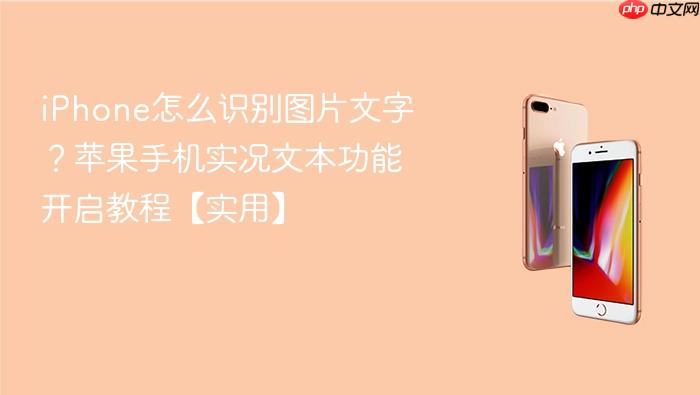 iphone怎么识别图片文字？苹果手机实况文本功能开启教程【实用】