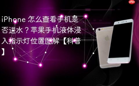 iPhone 怎么查看手机是否进水？苹果手机液体浸入指示灯位置图解【科普】